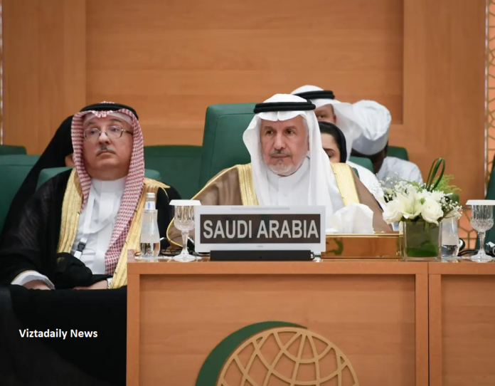 A Beacon of Hope: Saudi Arabia Commitment to Sahel and Lake Chad Development