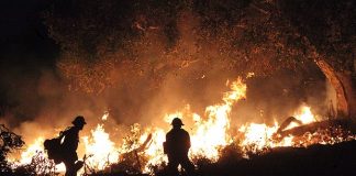 The Hughes Fire in LA has burned over 5,000 acres and is still uncontained due to strong winds. Hughes Fire