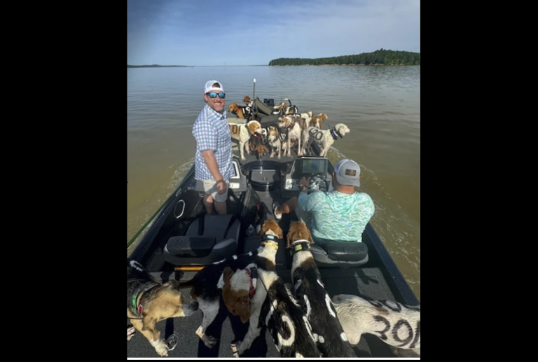38 dogs almost drowned on a river in Mississippi, but lucky fishermen saved them.