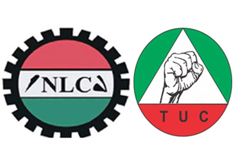 Strike: The President addresses NLC and TUC; let’s be grateful we’re not under military rule.